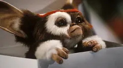 Gremlins 2, la nouvelle génération