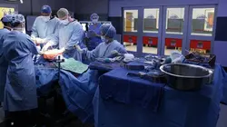 Grey's Anatomy S13E08 Une nuit au bloc