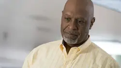 Grey's Anatomy  S14E11 Un regard en arrière