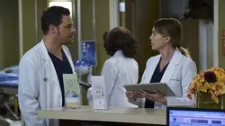 Grey's Anatomy S13E15 Cause perdue