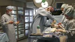 Grey's Anatomy S03E17 Entre deux mondes