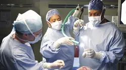 Grey's Anatomy S07E10 Phase critique