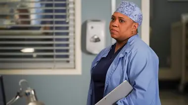 Grey's Anatomy S16E18 Pro Bono