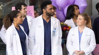Grey's Anatomy S18E14 Jusqu'au bout du monde