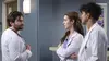 Alex Karev dans Grey's Anatomy S19E16 Un sentiment d'abandon (2022)