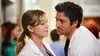 Dr. Erica Hahn dans Grey's Anatomy S05E03 De l'orage dans l'air (2008)