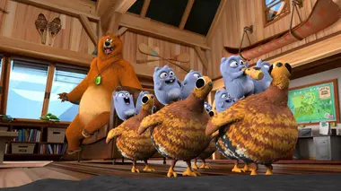 Ours sous haute protection