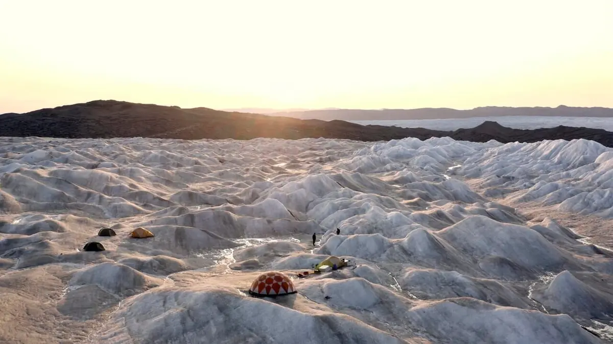 Groenland, terre sauvage