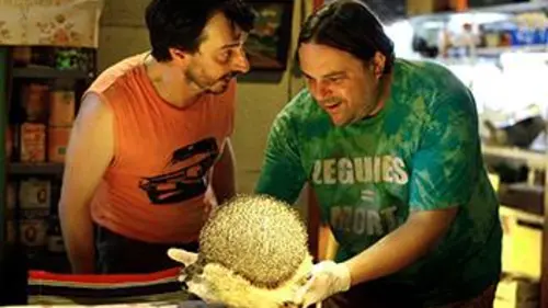 Groland le gros métrage