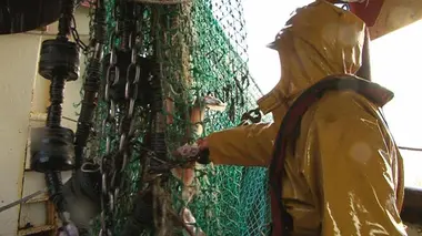 Sur la pêche en haute mer