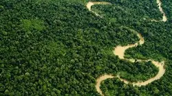 Visuel de Gros plan sur la nature