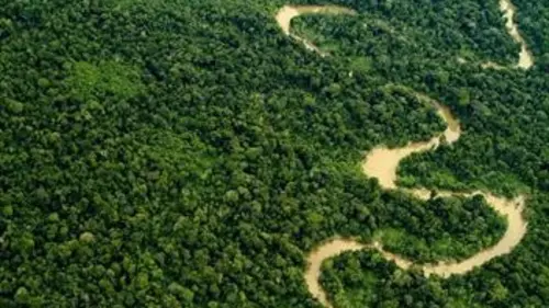 Gros plan sur la nature S01E03 La forêt amazonienne