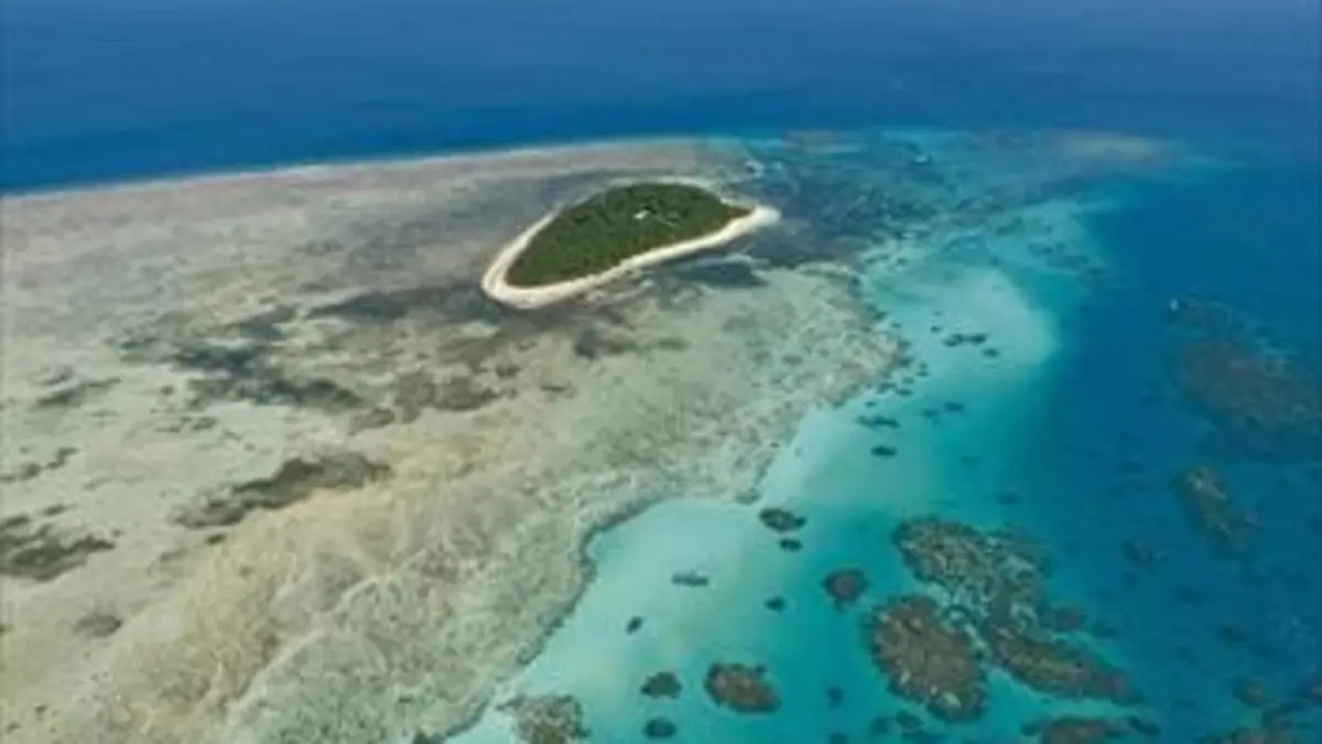 Gros plan sur la nature S02E02 La Grande Barrière de corail