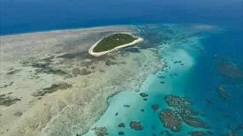 Gros plan sur la nature S02E02 La Grande Barrière de corail