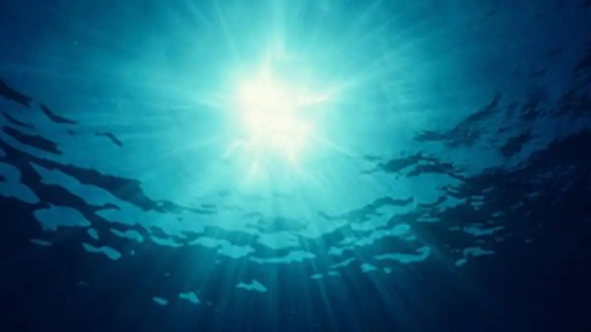 Gros plan sur la nature S02E05 Les abysses