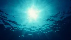 Visuel de Gros plan sur la nature