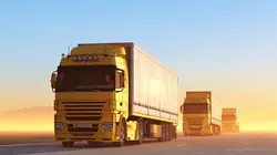 Grues et camions : les géants des chantiers