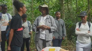 Replay du programme Guadeloupe : graines d'avenir
