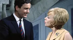 Visuel de Guêpier pour trois abeilles