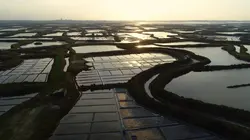 Guérande, un peu de la beauté du monde