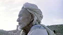 Guerre d'Algérie, la déchirure 1954-1958