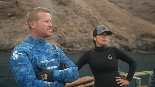 Guerre des requins : frénésie fratricide