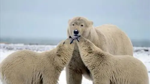 Guides d'aventures S01E00 Karine Genest