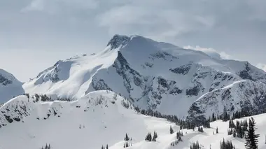 Jud Jones : Nage avec les bélugas