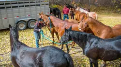 Guides d'aventures Valérie Labbé - Guide équestre