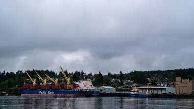 Peter Mieras - Guide de plongée sous-marine