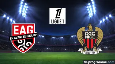 Guingamp / Nice Football Ligue 1 2014-2015
