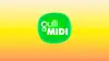 Gulli Midi
