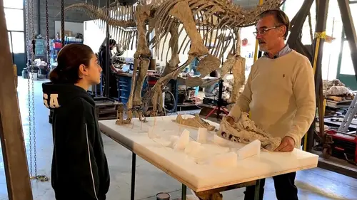 Photos de Gulli Reportages S01E01