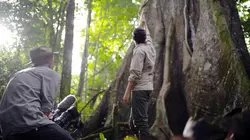 Guyana, le dernier paradis sauvage