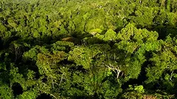 Visuel de Guyane, au coeur de l'océan vert