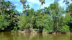 Visuel de Guyane, sur la route de la côte