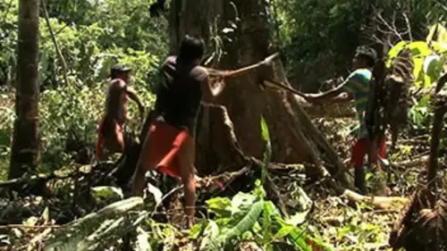 Guyane, terre de biodiversité