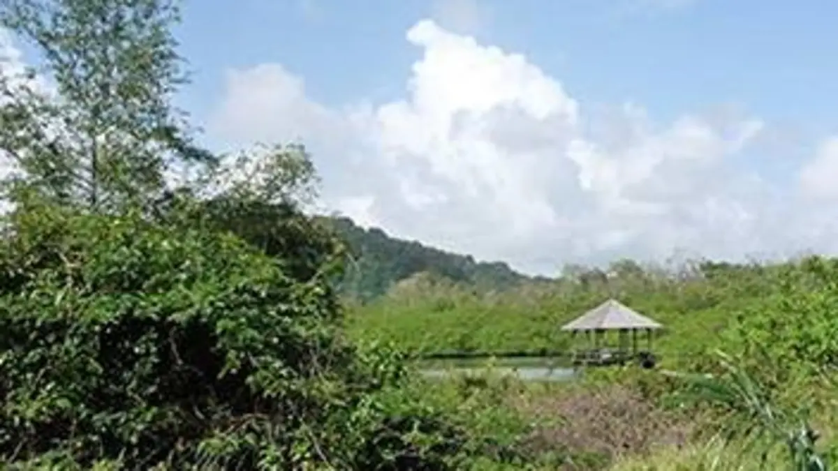 Guyane, terre de tous les possibles