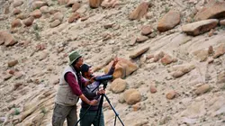 Gyamo, la panthère du Ladakh
