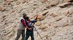 Gyamo, la panthère du Ladakh