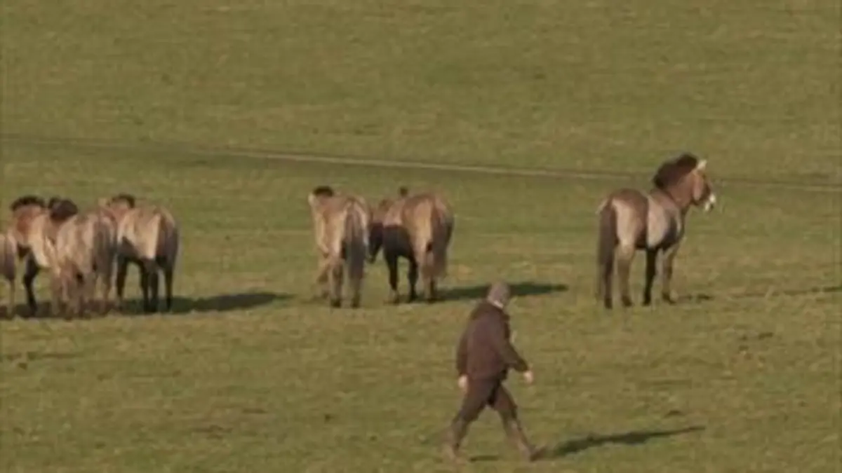 H.A.N. : hommes, animaux et nature S01E01