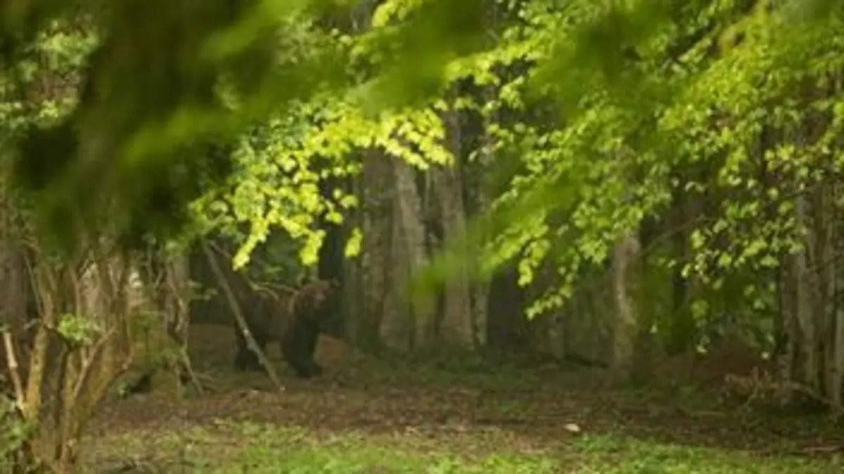 H.A.N. : hommes, animaux et nature S01E04