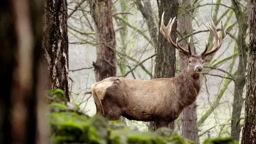 H.A.N. : hommes, animaux et nature S02E01 1/8