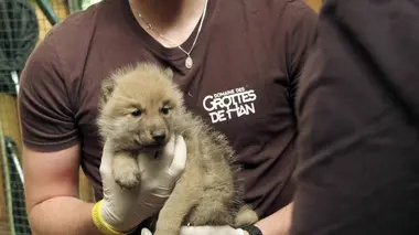 H.A.N. : hommes, animaux et nature