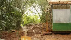 Habitations en péril Tonnerre sous les tropiques