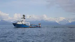 Habitations en péril Paradis en péril - partie 1