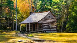 Habitations en péril Débranchés en streaming