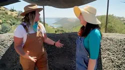 Visuel de Habitations en péril