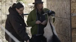 Habitations en péril L'arrivée des loups