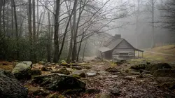 Habitations en péril E02 Une nature sauvage